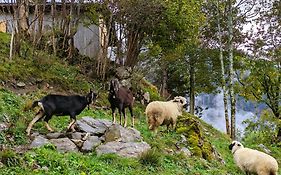 Panoramahof Bergglueck
