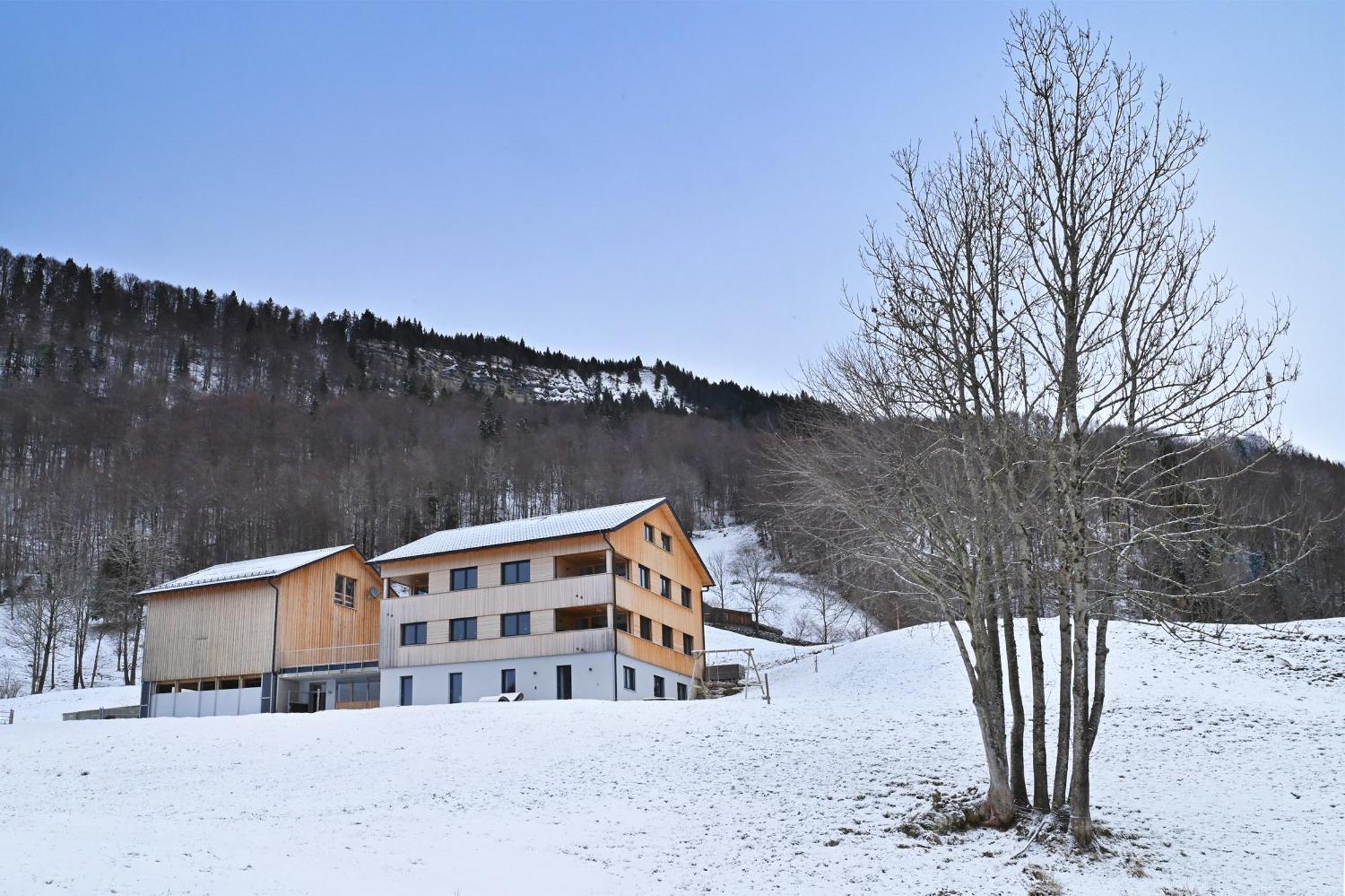 Panoramahof Bergglueck Appartement Mellau Buitenkant foto